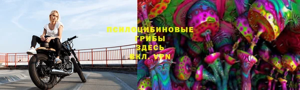 гидропоника Абдулино