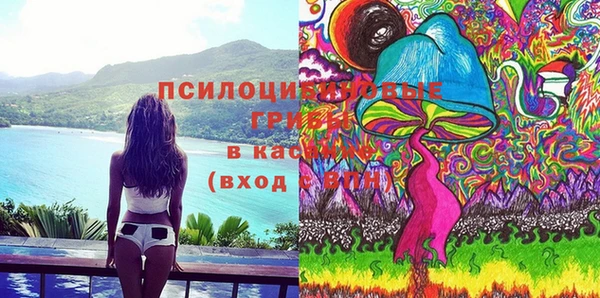 амф Абинск