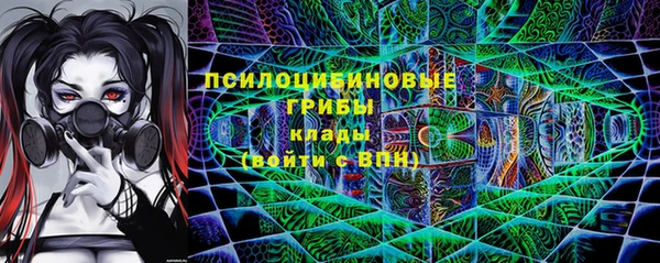 гидра Абаза