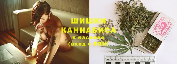 амф Абинск
